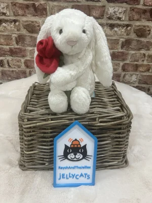 A photo of Cream Bunny with Rose Jellycat taken by Raychandthejellies