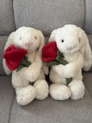 Cream Bunny with Rose Jellycat photo uploaded by Mayajellycats13