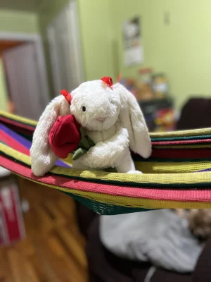 Cream Bunny with Rose Jellycat | Jelly Journal