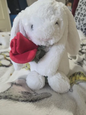 Cream Bunny with Rose Jellycat photo