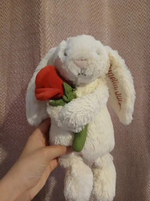 A photo of Cream Bunny with Rose Jellycat taken by Ameliaj2015