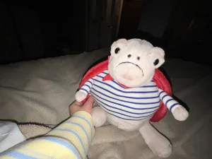 Timmy Turtle Romantic Outfit Jellycat photo