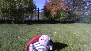 Front photo of Timmy Turtle Romantic Outfit uploaded by Jellycat_Jack_
