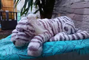 A photo of Bashful Snow Tiger - Huge Jellycat taken by JuniperJellyC