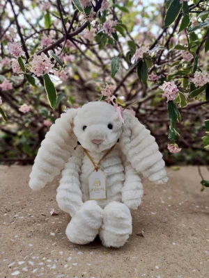 Photo by jellycatmandy