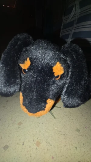 A photo of Freddie Sausage Dog - Medium Jellycat taken by Jellylover24