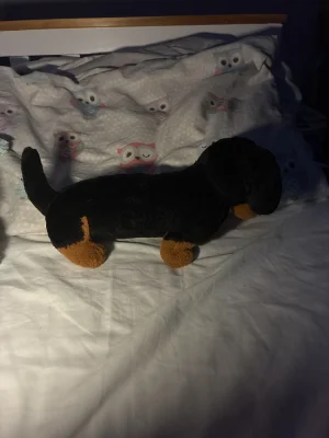 A photo of Freddie Sausage Dog - Medium Jellycat taken by Paige_Aris