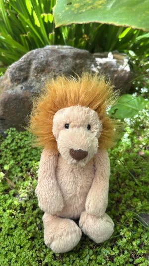 A photo of Bashful Lion (Original) - Small Jellycat taken by Jelly_Journey