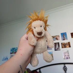 A photo of Bashful Lion (Original) - Small Jellycat taken by herbgardenplush