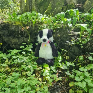 A photo of Bashful Badger (Original) Jellycat taken by Ebranagh1986