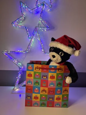 A photo of Classic Gift Bag Jellycat taken by TishWish
