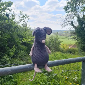 Lachlan Sad Rat Jellycat photo