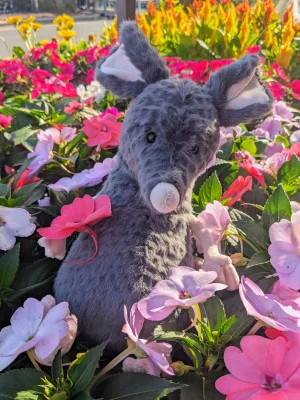 A photo of Lachlan Sad Rat Jellycat taken by Snailcakes097