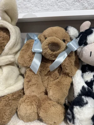 A photo of Bashful Toffee Puppy - Small Jellycat taken by Courtneyharris