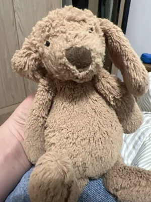 A photo of Bashful Toffee Puppy - Small Jellycat taken by Jellycatme123