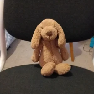 A photo of Bashful Toffee Puppy - Small Jellycat taken by TheJellyCollector