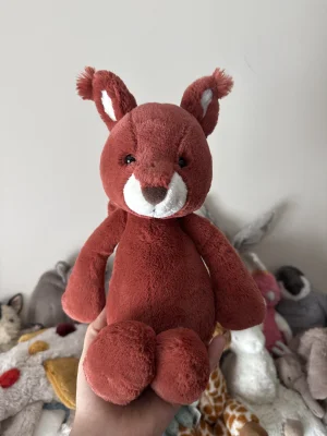 A photo of Bashful Squirrel Jellycat taken by JellyElenJoy