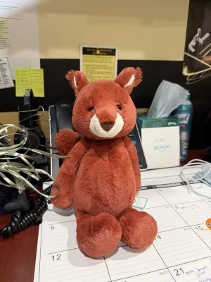 Bashful Squirrel Jellycat | Jelly Journal