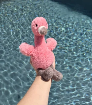 Bashful Flamingo - Small Jellycat photo