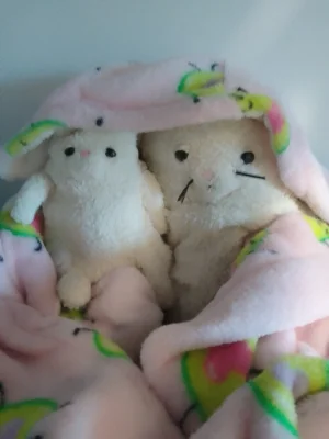 A photo of Amore Cream Cat - Medium Jellycat taken by LilGrumpyGreen