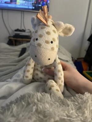 A photo of Georgie Giraffe Jellycat taken by chasespencer