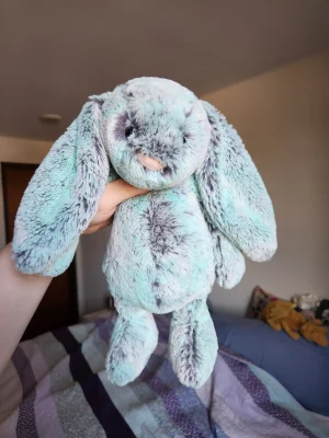 Bashful Pistachio Bunny Jellycat photo