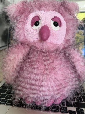 Olga Owl Jellycat photo