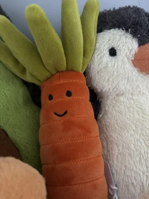 Vivacious Vegetable Carrot Jellycat photo