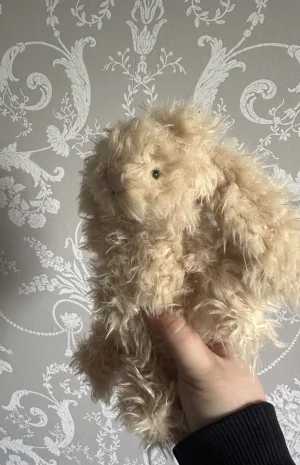 A photo of Bashful Buttercup Bunny - Small Jellycat taken by MD07
