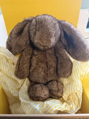 Hoppleston Luxe Bunny Jellycat | Jelly Journal