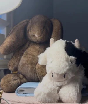 Hoppleston Luxe Bunny Jellycat photo uploaded by addiesjellys