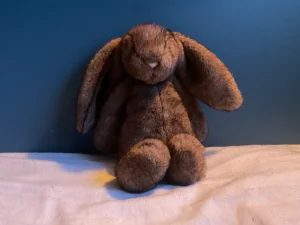 Hoppleston Luxe Bunny Jellycat photo