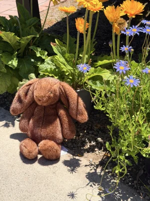 Hoppleston Luxe Bunny Jellycat | Jelly Journal