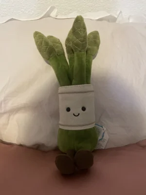 Amuseables Asparagus Jellycat photo uploaded by rosieposie0223