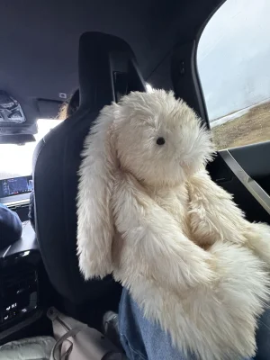 Springlowe Luxe Bunny Jellycat | Jelly Journal