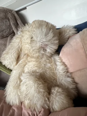 Springlowe Luxe Bunny Jellycat | Jelly Journal