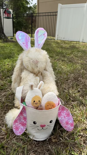 Springlowe Luxe Bunny Jellycat | Jelly Journal