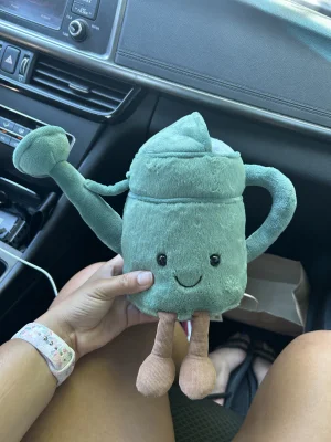 Amuseables Watering Can Jellycat photo