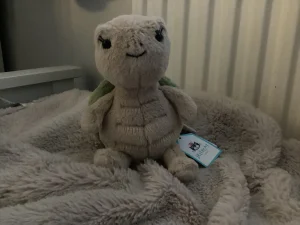 Thimble Turtle Jellycat photo