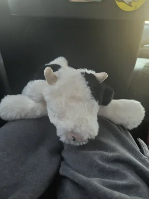 Smudge Cow Jellycat photo