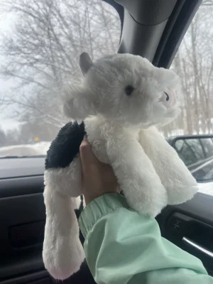 Smudge Cow Jellycat photo