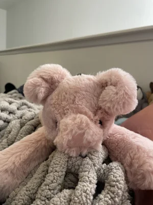 Smudge Pig Jellycat | Jelly Journal