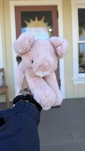 Smudge Pig Jellycat | Jelly Journal