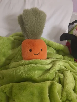A photo of Amuseables Carrot Jellycat taken by Jellycat_magic7