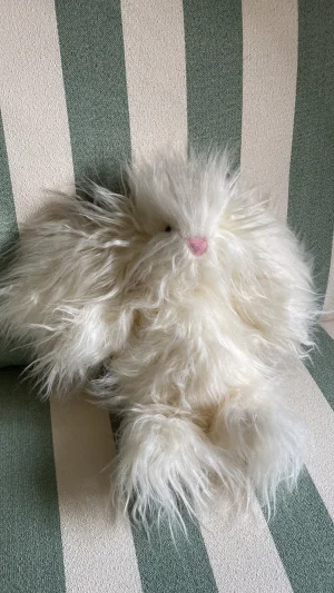 Bashful Roberta Jellycat photo