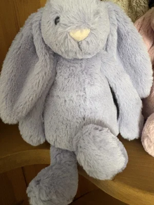 A photo of Bashful Viola Bunny - Small Jellycat taken by DuckiePops