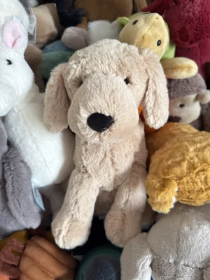 Tilly Golden Retriever Jellycat | Jelly Journal