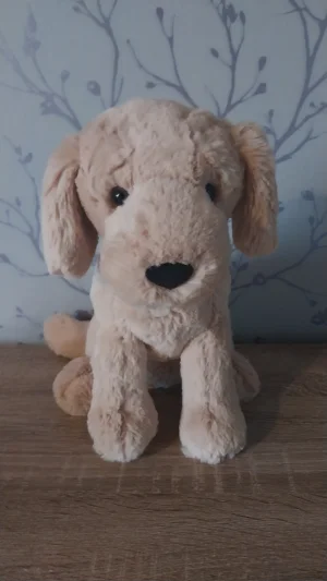 Tilly Golden Retriever Jellycat | Jelly Journal