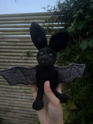 A photo of Onyx Bat Jellycat taken by Charlie_fr