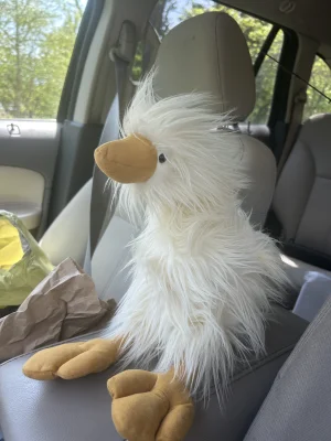 Dixie Duck Jellycat photo
